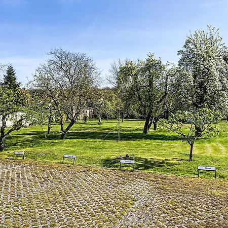 Burgfried - App- 5 By Interhome